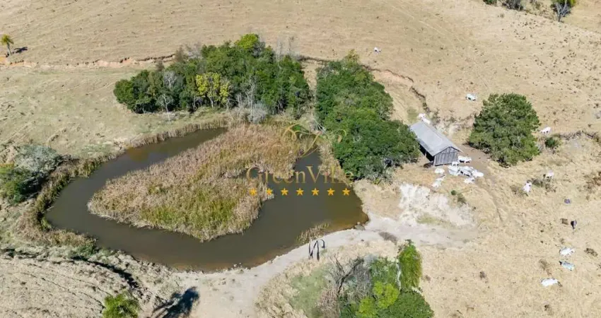 Campo Largo, Itambezinho, Fazenda Porteira Fechada, 95 cabeças de Gado Nelore,   213 há, 88 Alq , s
