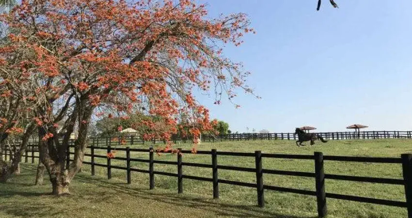 Lapa, 433,18 hectares, porteira fechada, à 90 km de curitiba, plantando 80 alqueires de soja, dupla