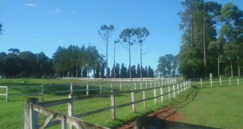 São josé dos pinhais,haras cinematográfico, 20 baias, 171.520m², 4 qtos, 2 suítes, à venda, pr