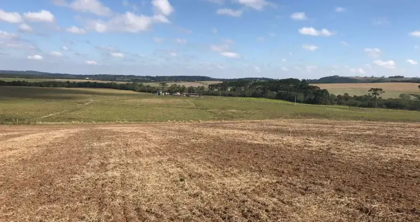Lapa, chácara 7 hectares plana, cultivo, à 3km centro da cidade, à venda, área rural, pr