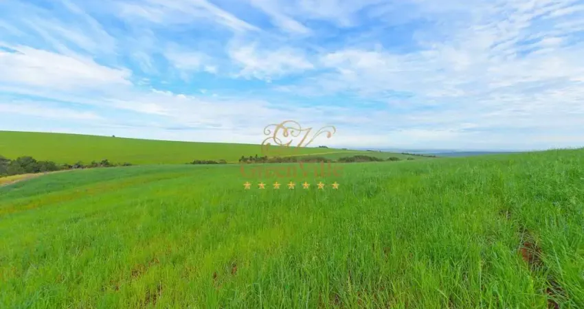 Canoinhas/sc, são mateus do sul/ pr/ fazenda 528, 56 há , 218 alqueires, plantando 400 hectares, à