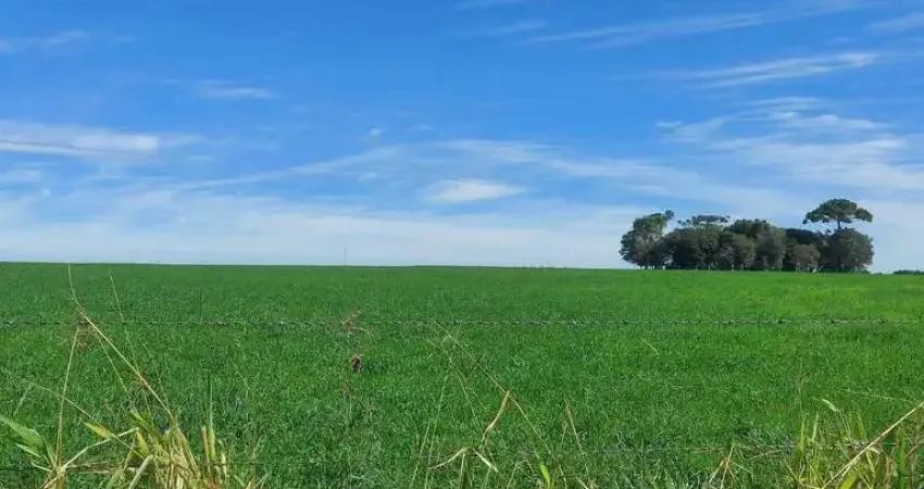 Lapa, 50 alqueires, à 28 km da cidade, 121 hectares, plantando 17 alqueires, car, mapa topográfico,