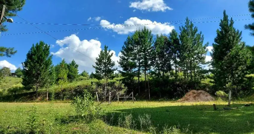 Campo largo, ferraria, chácara 51.425m², na rotatória ecoumbrella, acesso asfalto, esquina com rua