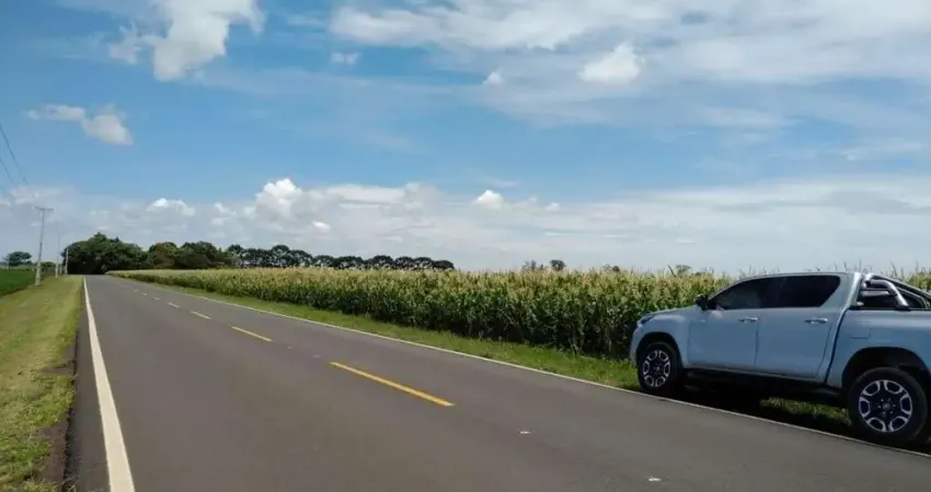 Porto amazonas, fazenda de soja, plantando as 110 alqueires, arrendada, área total de 2662000m², à