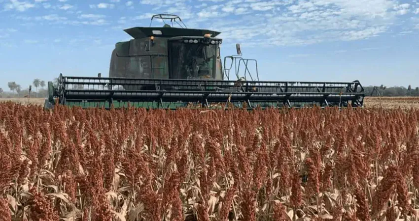 Mato grosso/ bonito/ guia lopes, fazenda 2633 hectares, plantando 2.100 hectares, de frente pra o a