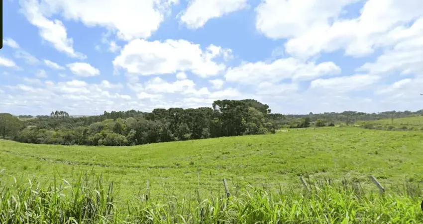 Campo largo, alphaville, área 74.721 m², à 12 km do parque barigui, à venda, pr