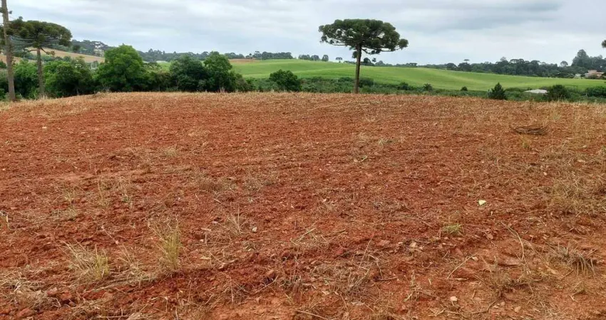 Araucária, 300m do asfalto, 5 alqueires, 12,35 hectares, barracão, própria pra plantio, arrendada,
