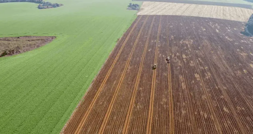 Maringá/ astorga, fazenda plana 600 hectares, ou 248 alqueires, plantando 180 alqueires, próximo a