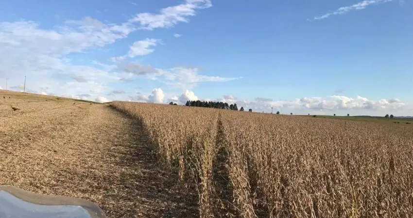 Porto amazonas, fazenda 389 hectares, 161 alqueires, plantando 92 alqueires de soja, sede completa,