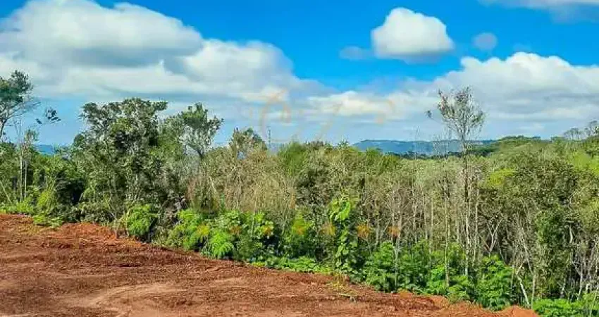 Campo largo/ três córregos, 383 alqueires ou 926,93 hectares, sendo 240 alqueires pra reflorestamen