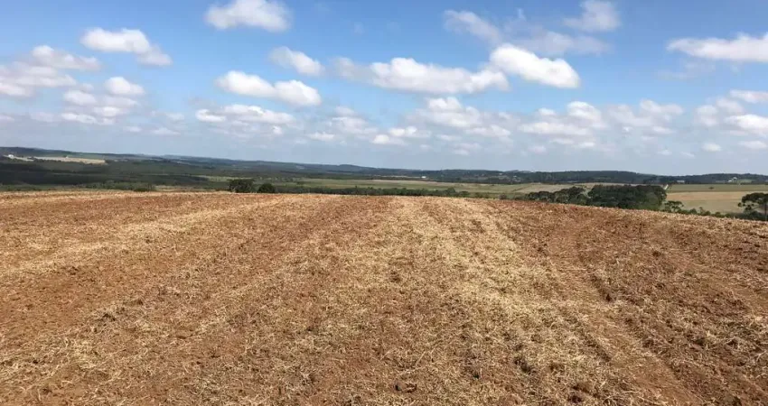 Lapa, Chácara 7 Hectares Plana, Cultivo, à 3km Centro da Cidade, à venda, Área Rural, PR