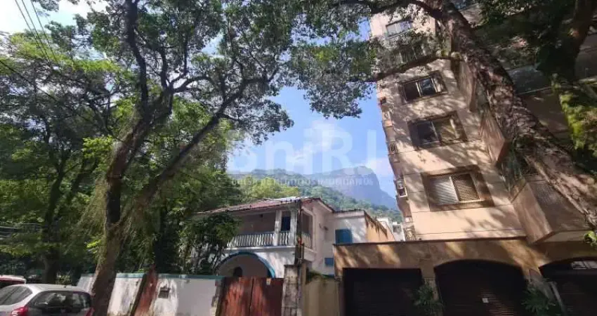 Vendo preciosidade no Jardim Botânico Rio de Janeiro Rua Conde Afonso Celso