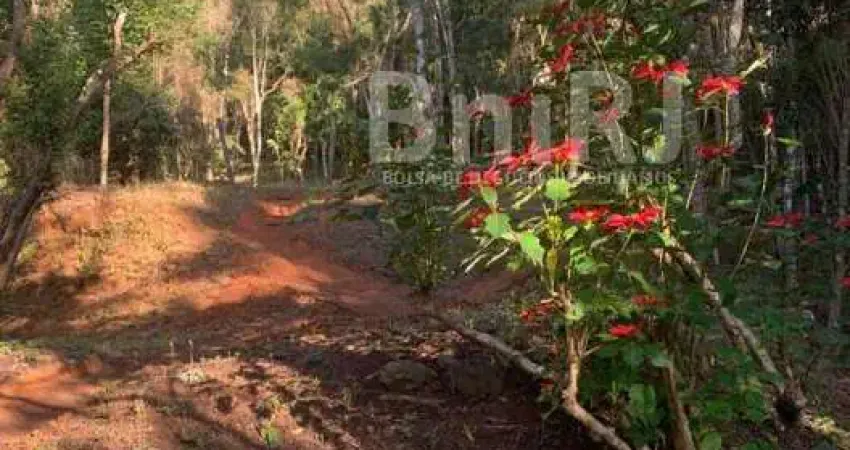 Araras, Petrópolis RJ. 11 lotes no Vale das Videiras. Rodeada por exuberante natureza, ideal para ecoturismo, com variedade de trilhas, cachoeiras, rios e montanhas.