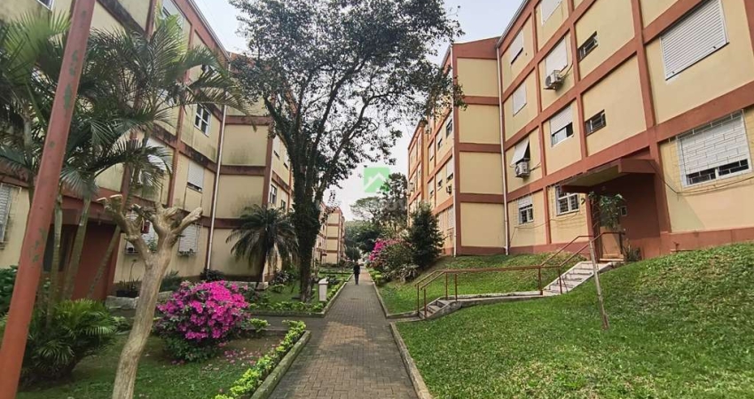 Apartamento 2 dormitórios Bairro Camaqua, apartamento 2 dormitórios rua travessa escobar zona sul porto alegre