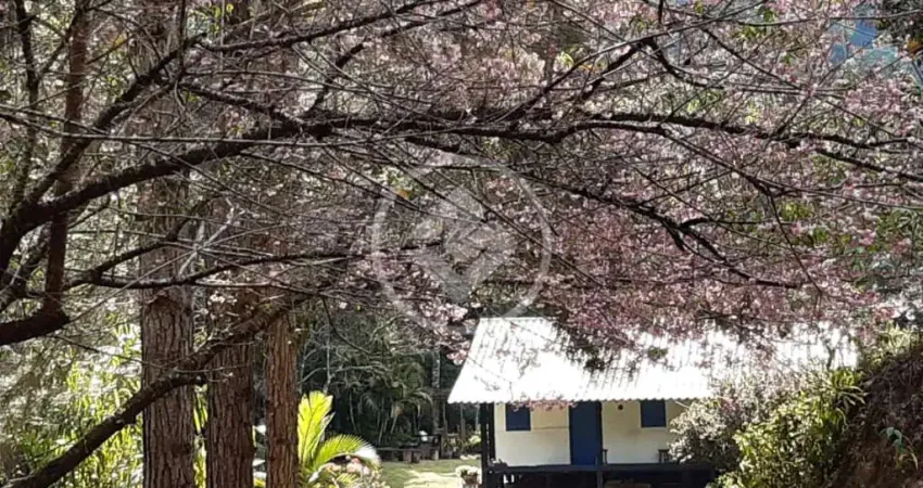 Vende-se Sítio em São Bento de Urânia, Alfredo Chaves - ES** codigo: 69317