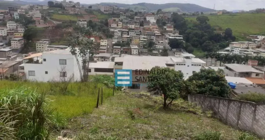 Terreno Residencial à venda, Nova Era, Juiz de Fora - TE0118.