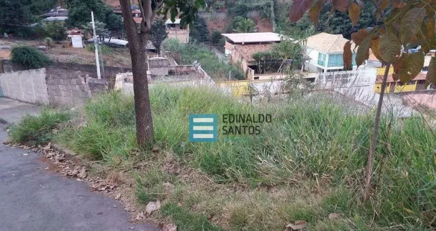 Terreno Residencial à venda, Nova Benfica, Juiz de Fora - TE0100.