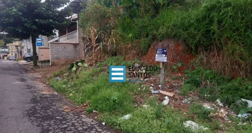 Terreno à venda, 300 m² por R$ 150.000,00 - Santa Isabel - Juiz de Fora/MG