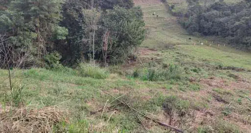 Chácara à venda, 2300 m² por R$ 77.000,00 - Bosque Dias Tavares - Juiz de Fora/MG
