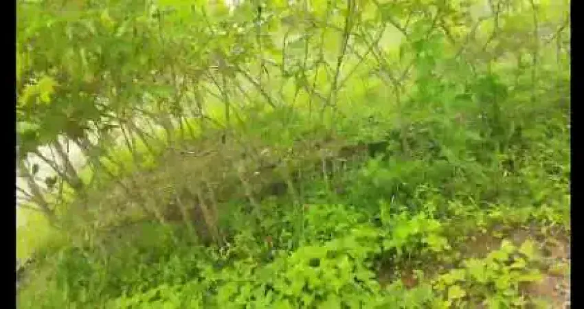 Terreno para venda - Apenas R$ 30.000,00 Bairro Capoeirão - Lima Duarte MG