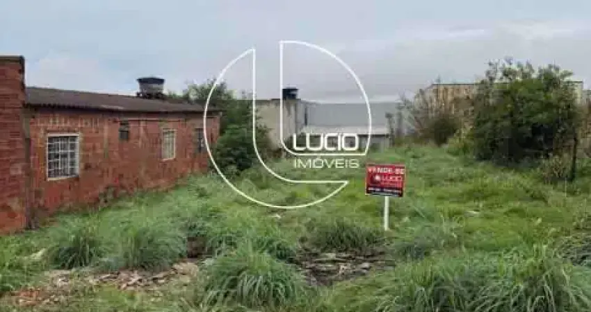 Terreno à venda na Rua Suely L. F. Pinheiro Braga, Víviam Parque, Anápolis