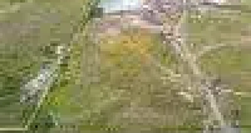 Terreno comercial para alugar na Rua Laerte Fenelon, 1405, Ipê, São José dos Pinhais