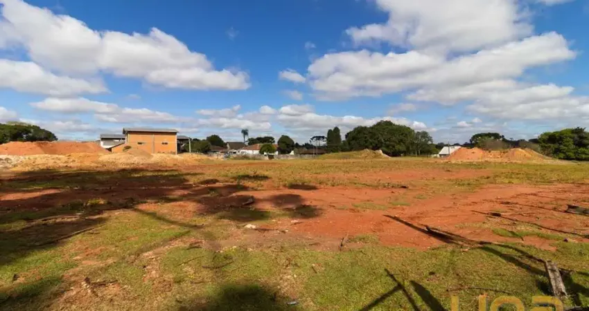 Terreno comercial para alugar na Rua Ângelo Pianaro, 539, Butiatuvinha, Curitiba