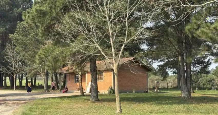 Terreno à venda na BR-376, 539, São Luiz do Purunã, Balsa Nova