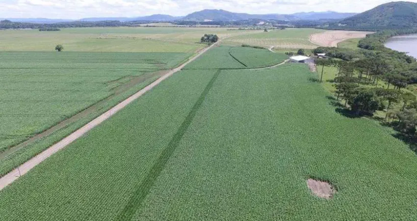 Fazenda com 1815000 metros quadrados - Ireneópolis - Santa Catarina