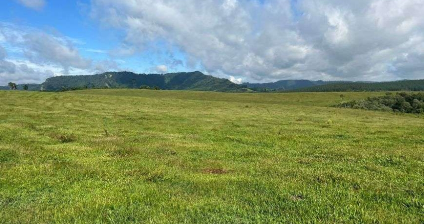 Terreno com 1403600 m² (58 Alqueires) 15 km da BR 116 - Zona Rural - Papanduva - SC