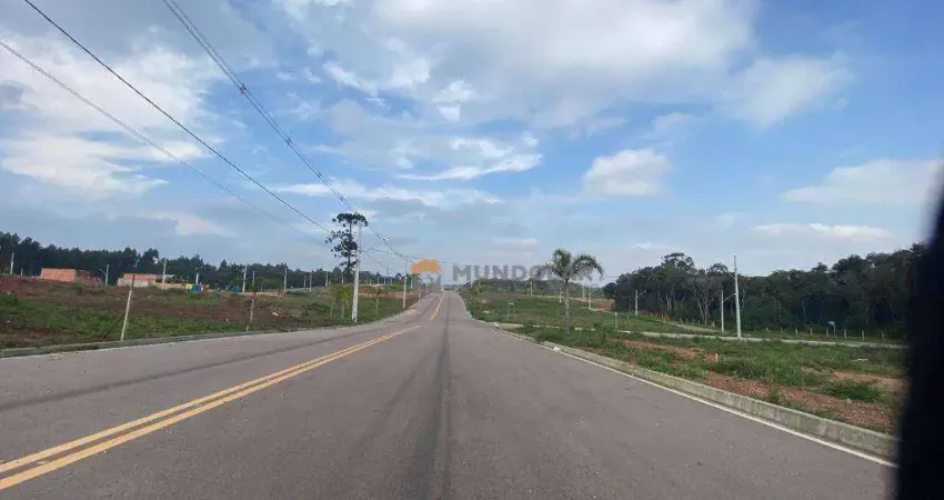 Terreno à venda, 120 m² por R$ 132.000,00 - Costeira - Araucária/PR