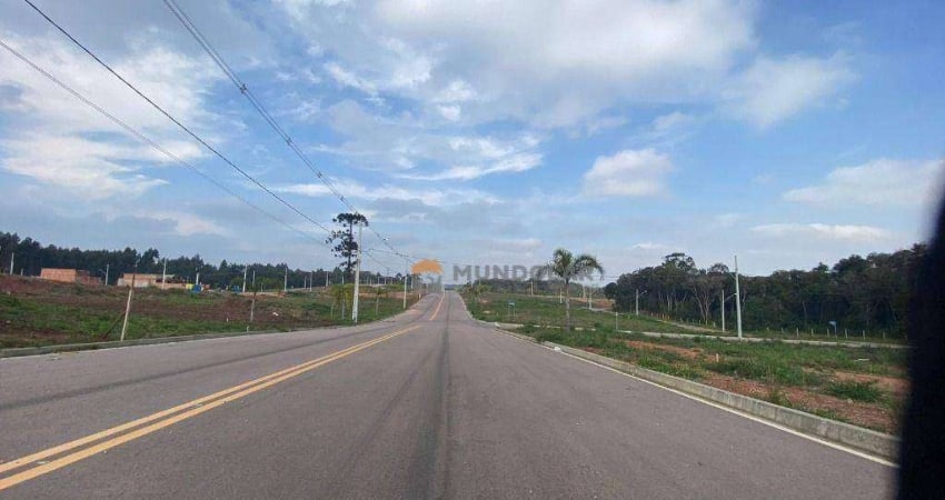 Terreno à venda, 170 m² por R$ 187.594,00 - Costeira - Araucária/PR