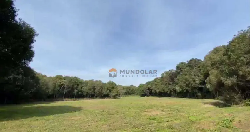Chácara à venda, 38281 m² por R$ 850.000,00 - Contenda - Contenda/PR