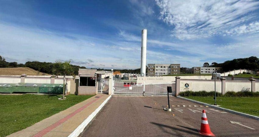 Apartamento com 2 dormitórios para alugar, 40 m² por R$ 1.750,00/mês - Costeira - Araucária/PR