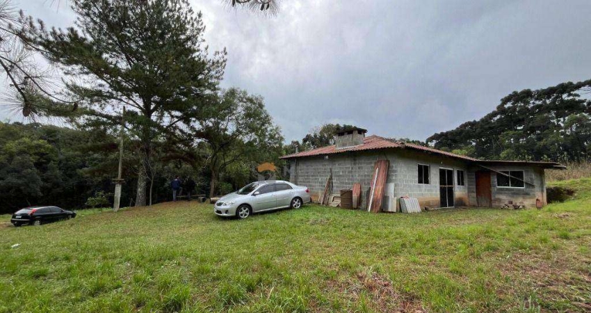 Chácara à venda, 24200 m² por R$ 899.000 - Estação - Araucária/PR