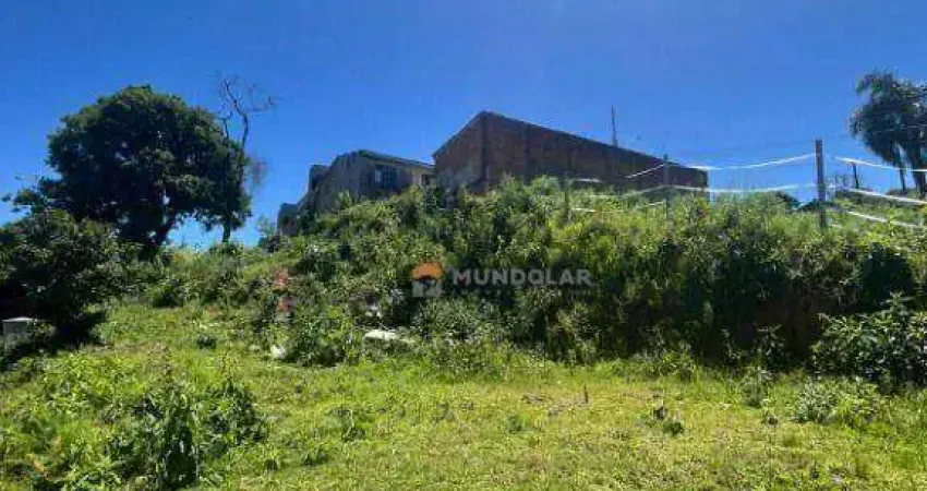 Terreno à venda, 432 m² por r$ 200.000,00 - passauna - araucária/pr