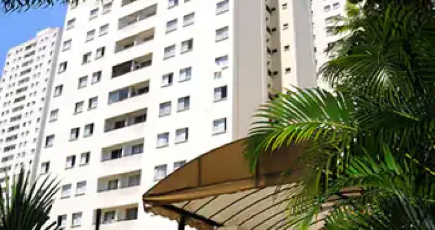 Seu Novo Lar na Petrônio Portela – Apartamento Espaçoso e Bem Localizado