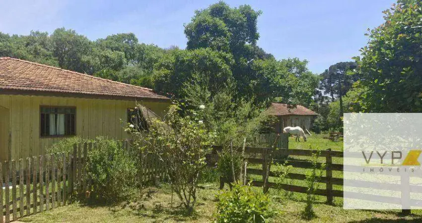 Chácara / sítio com 2 quartos à venda na Rua Água Amarela de Baixo, 1, Água Amarela, Antônio Olinto