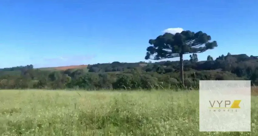 Terreno à venda na Área Rural, Zona Rural, Contenda