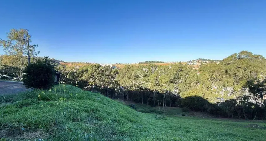 Terreno à venda, 906 m² por r$ 250.000,00 - spina ville ii - juiz de fora/mg