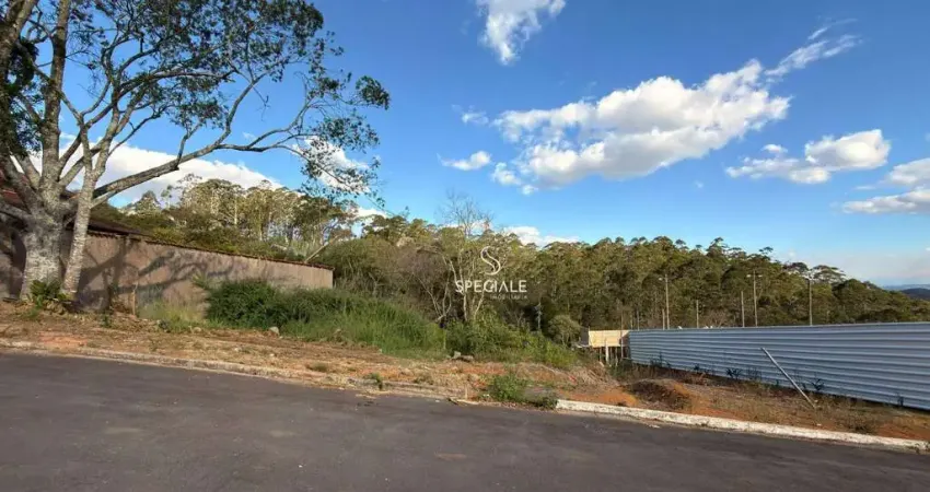 Terreno à venda, 1200 m² por r$ 450.000,00 - parque guadalajara - juiz de fora/mg