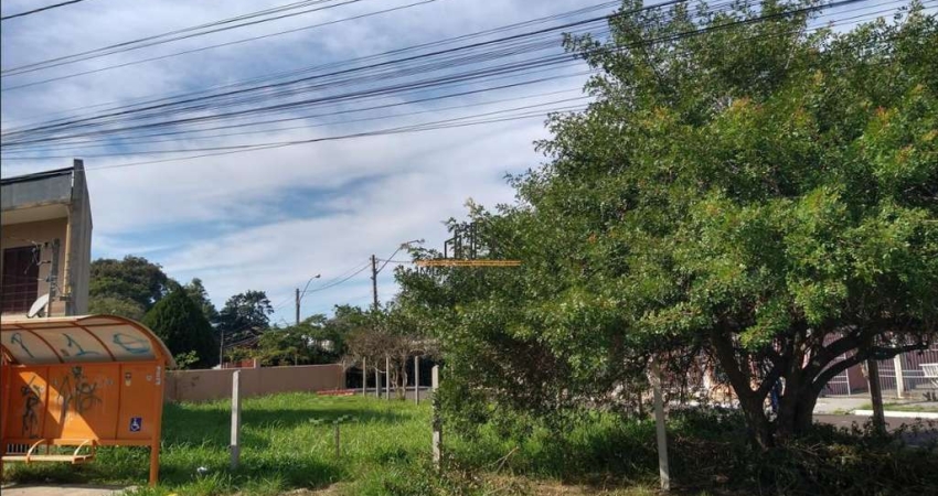 Terreno comercial para alugar no Harmonia, Canoas 