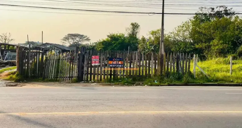 Terreno comercial para aluguel em sapucaia do sul, bairro pasqualini