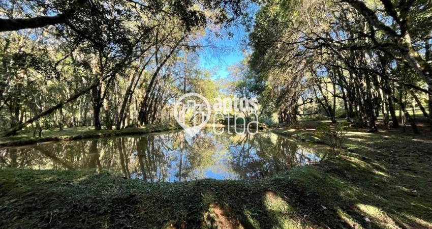 Chácara / sítio com 3 quartos à venda na Estrada Campo Novo, 33, Centro, Campo Magro