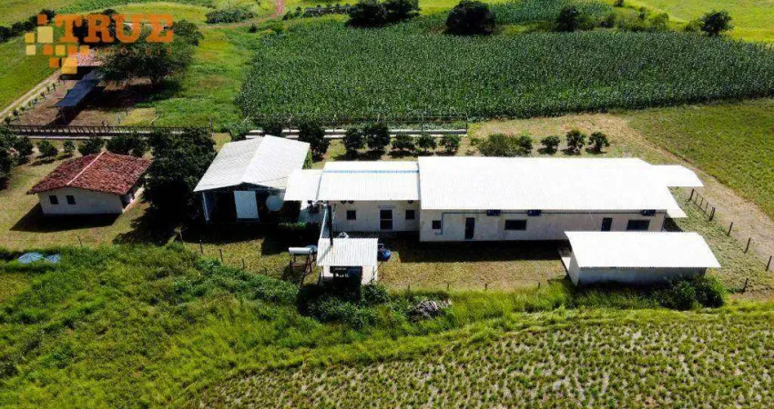 Fazenda com Industria de laticínio