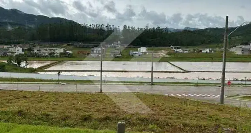 Terreno comercial à venda na Rua Benjamin Dagnoni, 3752, Rio do Meio, Itajaí