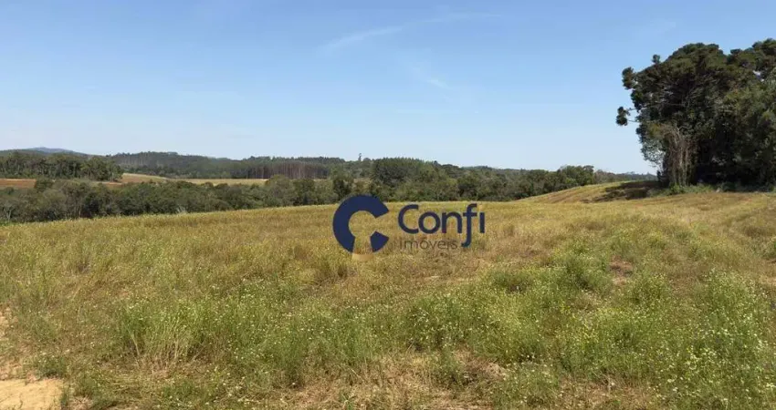 Área à venda, 301.778 m² por r$ 4.525.500 - zona rural - mandirituba/pr