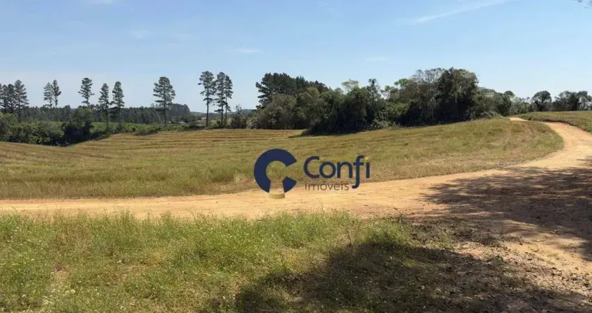 Terreno à venda, 301778 m² por r$ 4.525.500,00 - zona rural - mandirituba/pr