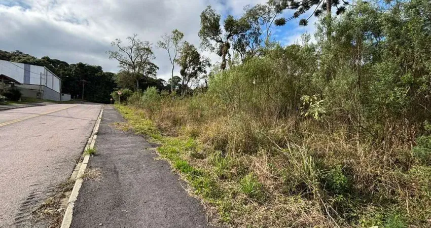 Terreno à venda, Jardim Mata Verde, Mandirituba, PR