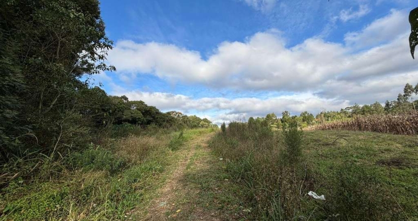 Terreno à venda, Areia Branca dos Assis, Mandirituba, PR